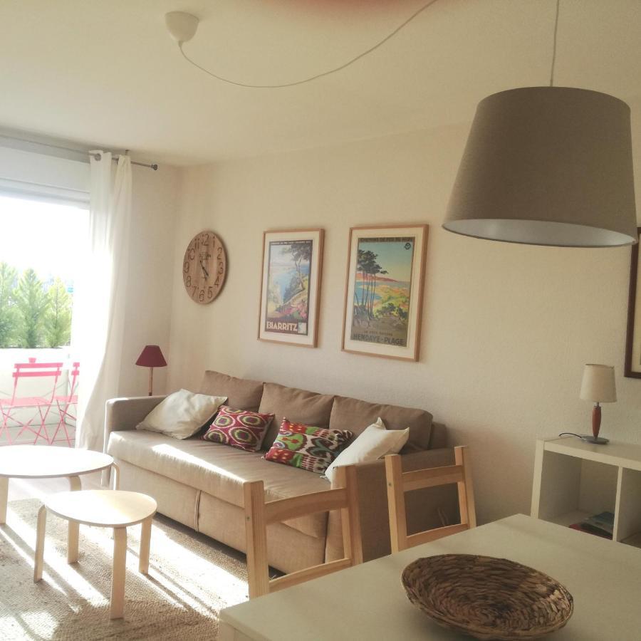 Bidasoa Con Vistas Apartment Hendaye Luaran gambar